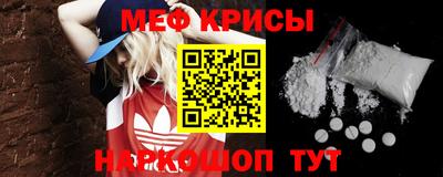 стаф Гай