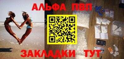 стаф Гай