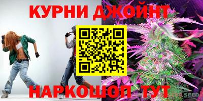 стаф Гай