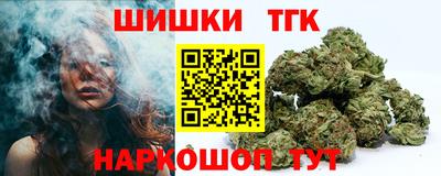 стаф Гай