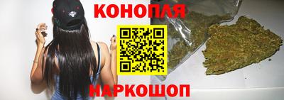 стаф Гай