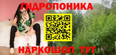 стаф Гай