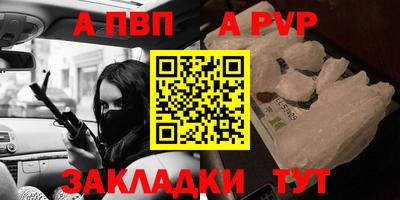 стаф Гай