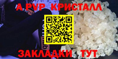 стаф Гай